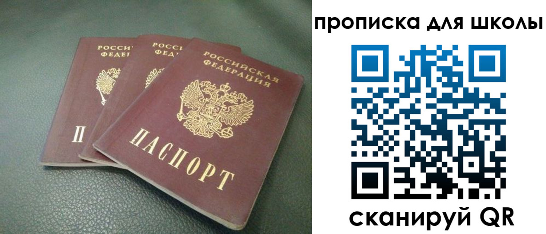 прописка регистрация в Апатитах